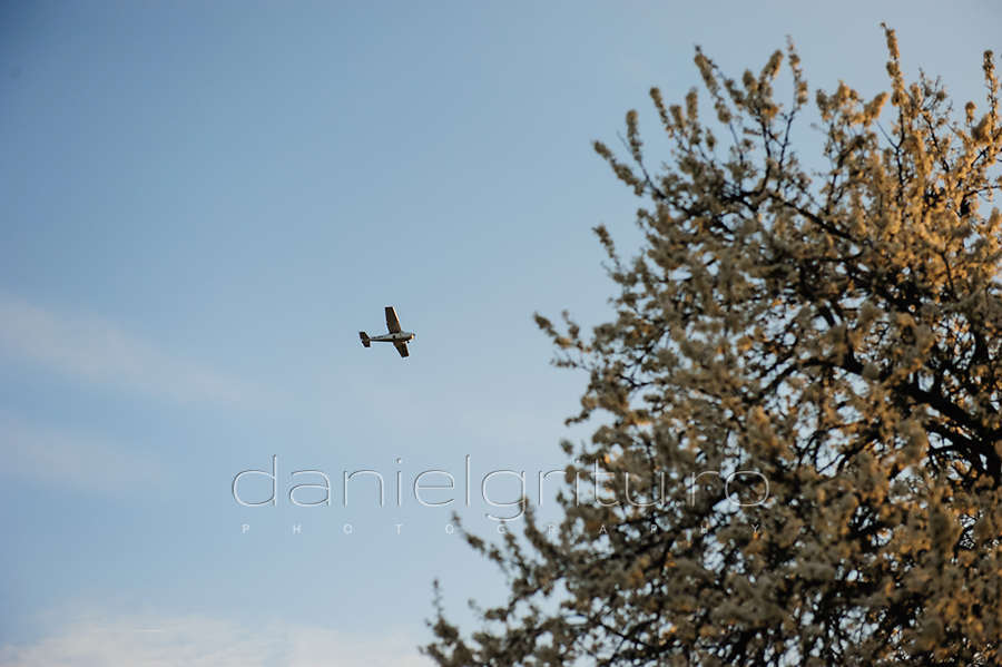 Fotograf copii Ploiesti | Prima zi de primavara cu Mariuka