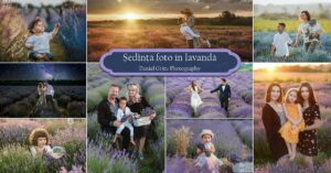 sedinta foto in lavanda